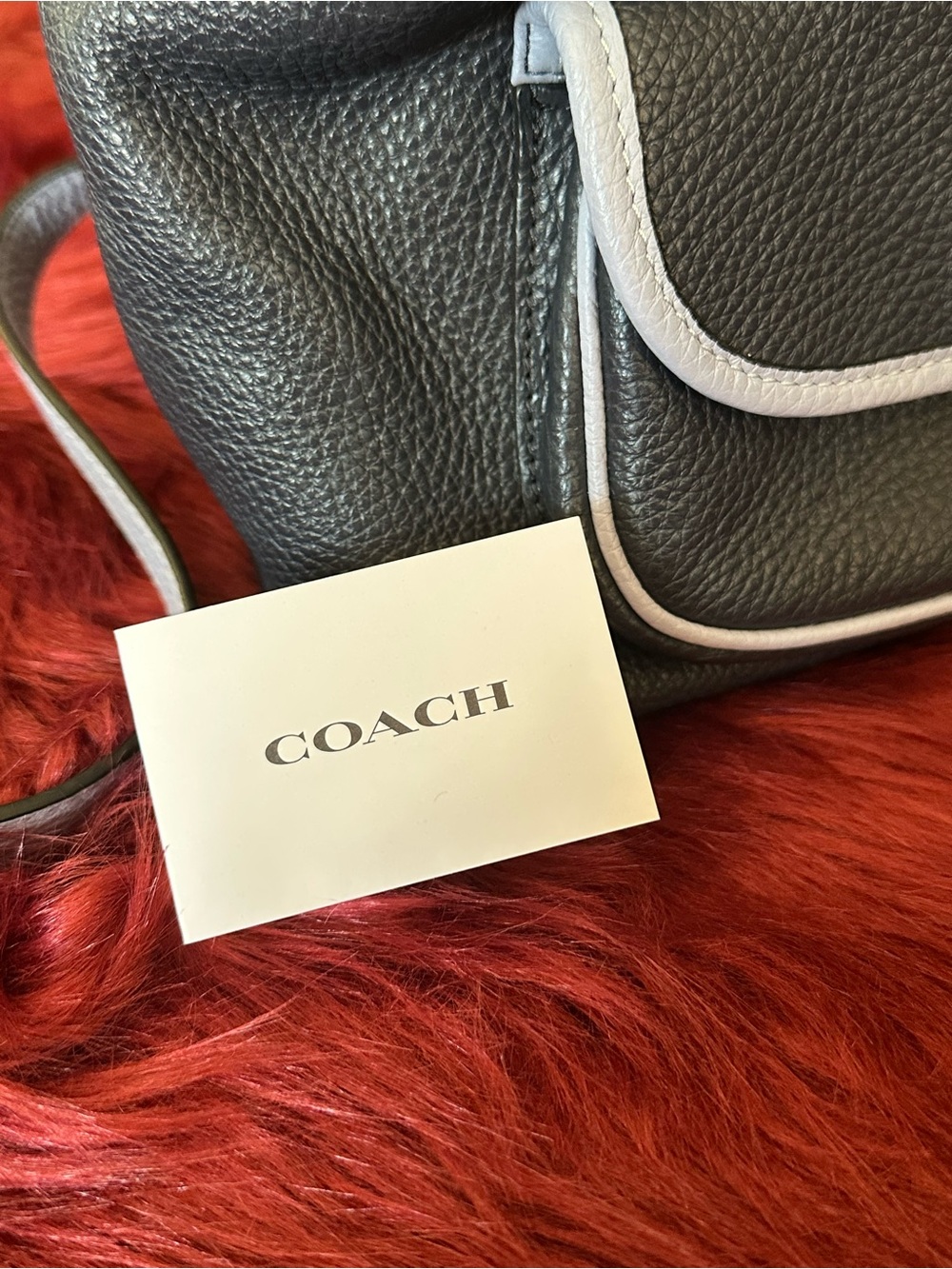 Coach Backpack - Mini - Picture 7 of 7